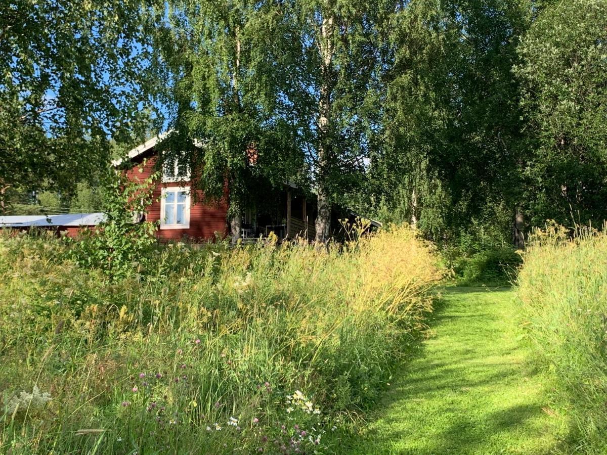Bogaerdan, Cozy Cabin By The Lulea River Harads Exteriör bild